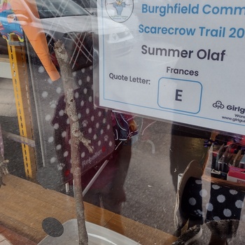 A thumbnail of Summer Olaf